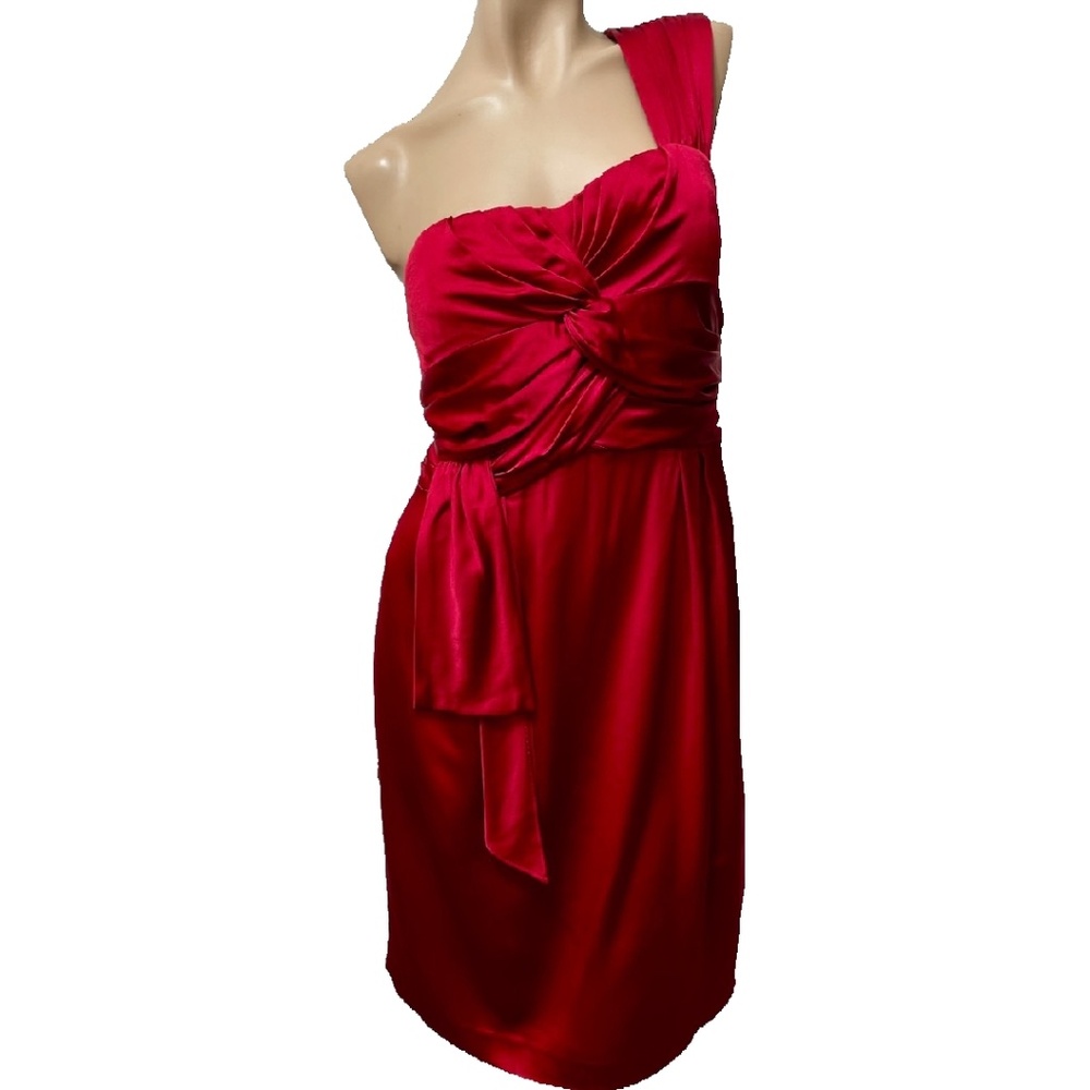 Antonio Melani Ruby Red 'HOLIDAY BALL' Dress 10